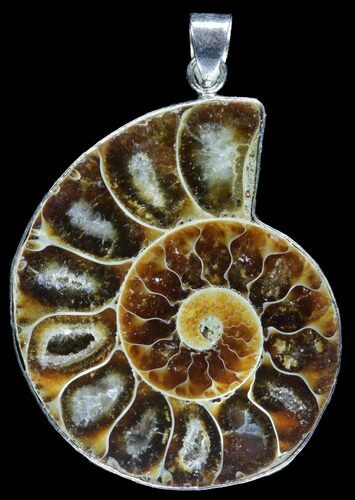 Fossil Ammonite Pendant - Million Years Old #89822